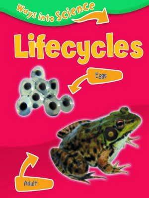 cover image of Lifecycles